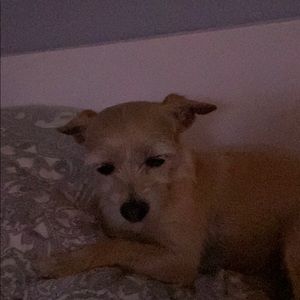 Meet your Posher, Caitlin